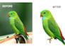 do professional background removal